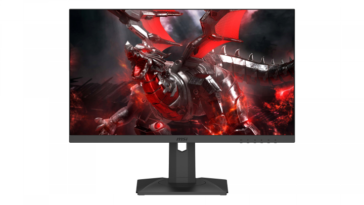 Monitor MSI Optix G251PF - DELKOM IT Dla Biznesu