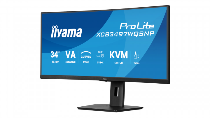 Monitor iiyama ProLite Curved XCB3497WQSNP-B1 + Norton Small Business card 250G 3