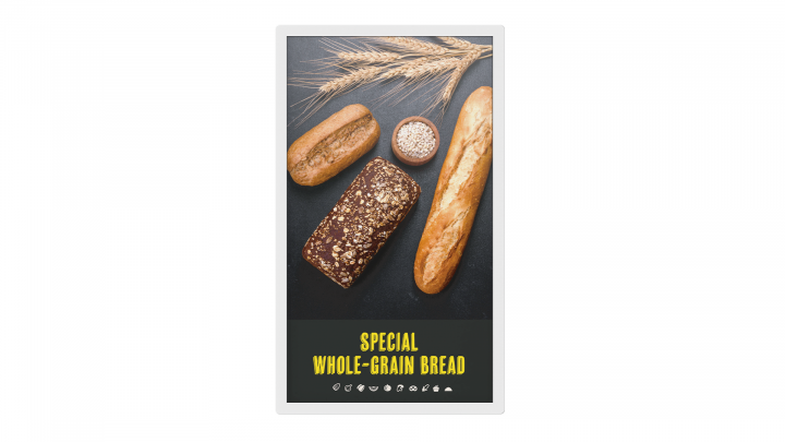 Monitor ePaper Sharp NEC EP-C251 25,3 QHD+