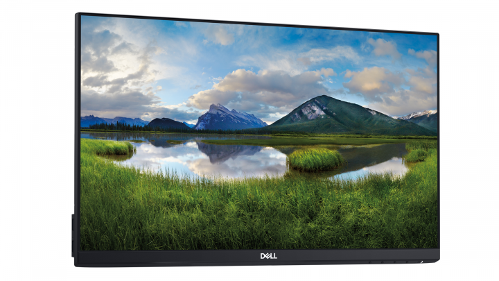 Monitor Dell P2219H 210-APWS widok frontu lewej strony