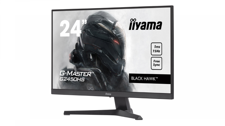 Monitor IIYAMA G-Master G2450HS-B1 - widok frontu2