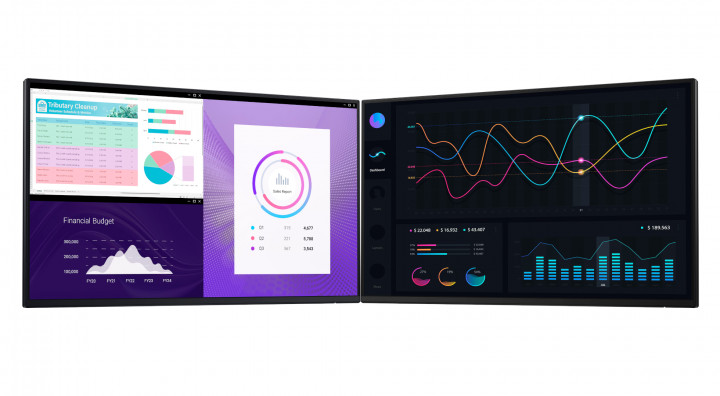 Monitor Dell P2425H 210-BMTB ekran