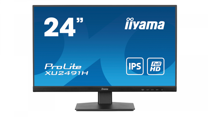 Monitor iiyama ProLite XU2491H-B1