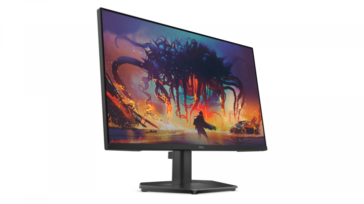 Monitor Dell SE2425HG 210-BSNR 23,8" FHD 2