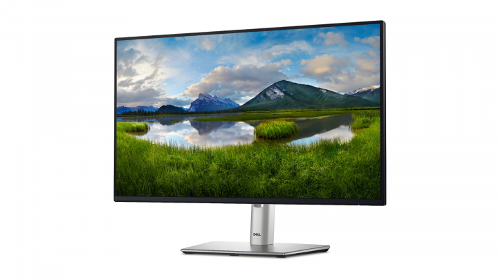 Monitor Dell 24 P2425H 3