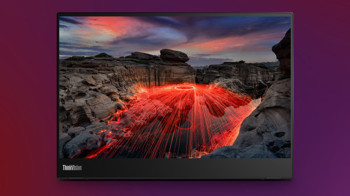 Monitor Lenovo ThinkVision M14t Gen 2