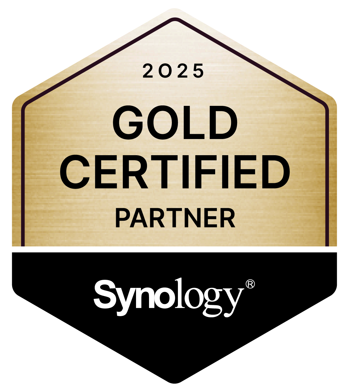 Logo Synology Partner Gold 2025