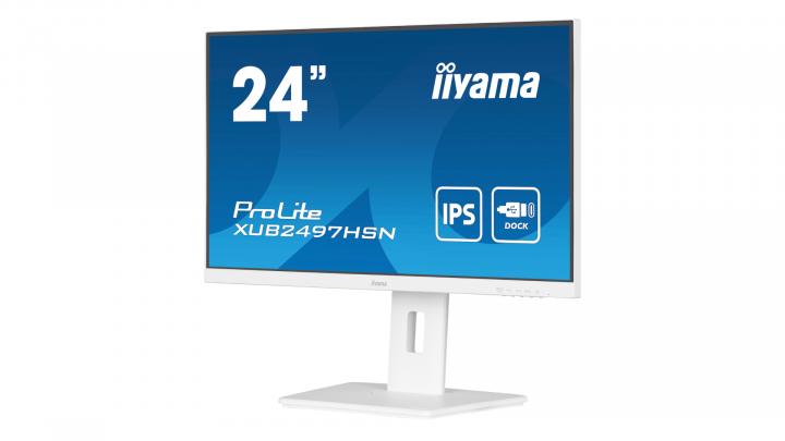 Monitor IIYAMA ProLite XUB2497HSN-W1 - widok frontu 1 5