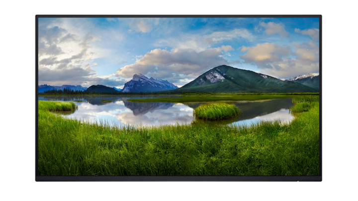 Monitor Dell 24 P2425HE bez podstawki