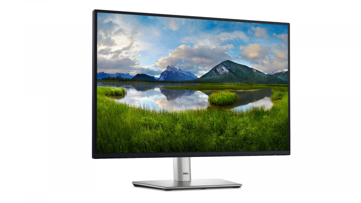 Monitor Dell 24 P2425E 1