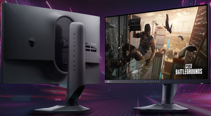Monitor Dell AW2524HF 210-BJPH ergonomia