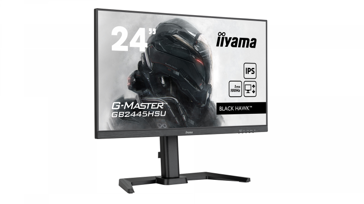 Monitor IIYAMA G-Master GB2445HSU-B1 2