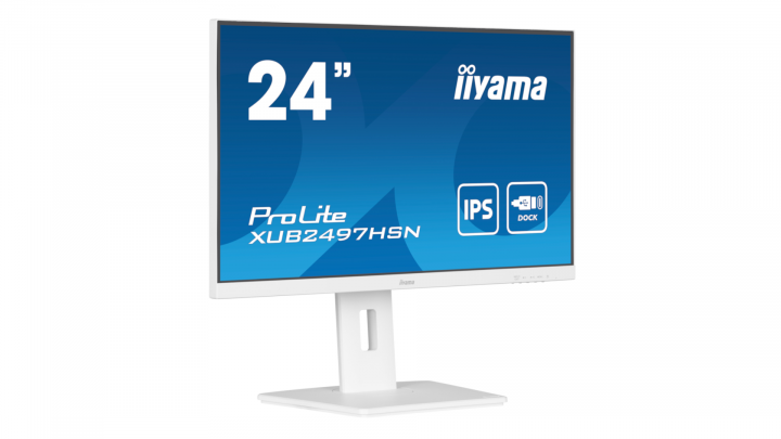 Monitor IIYAMA ProLite XUB2497HSN-W1 - widok frontu 1 4