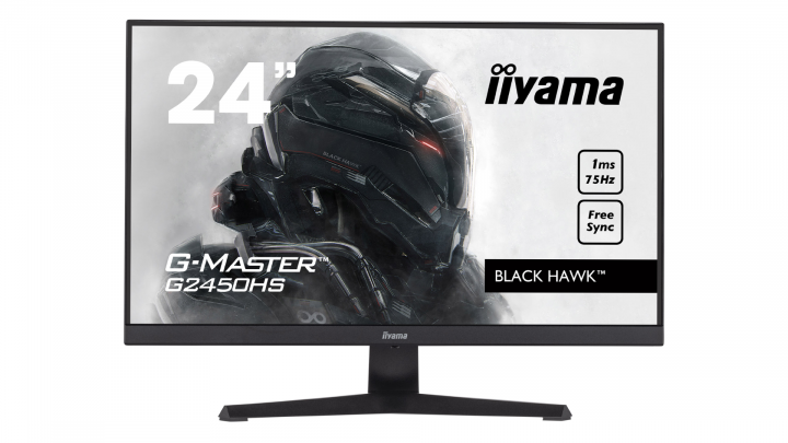 Monitor IIYAMA G-Master G2450HS-B1 - widok frontu