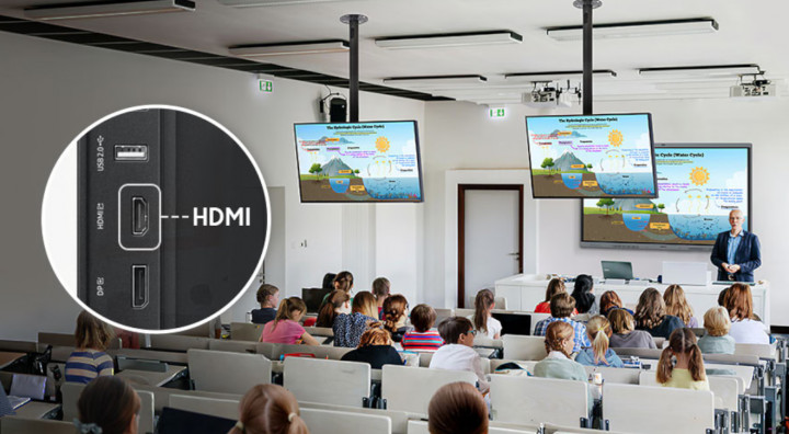 Samsung WA65FX-P LH65WAFPLGCXEN HDMI