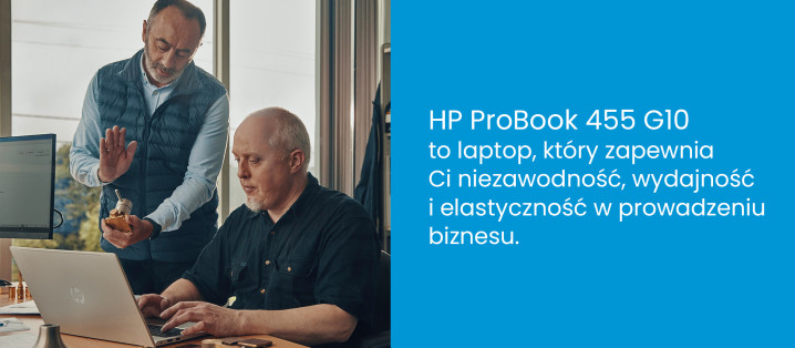 HP ProBook 455 G10 85D56EA - opis LP 162