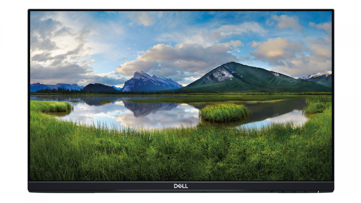 Monitor Dell P2219H 210-APWS widok frontu