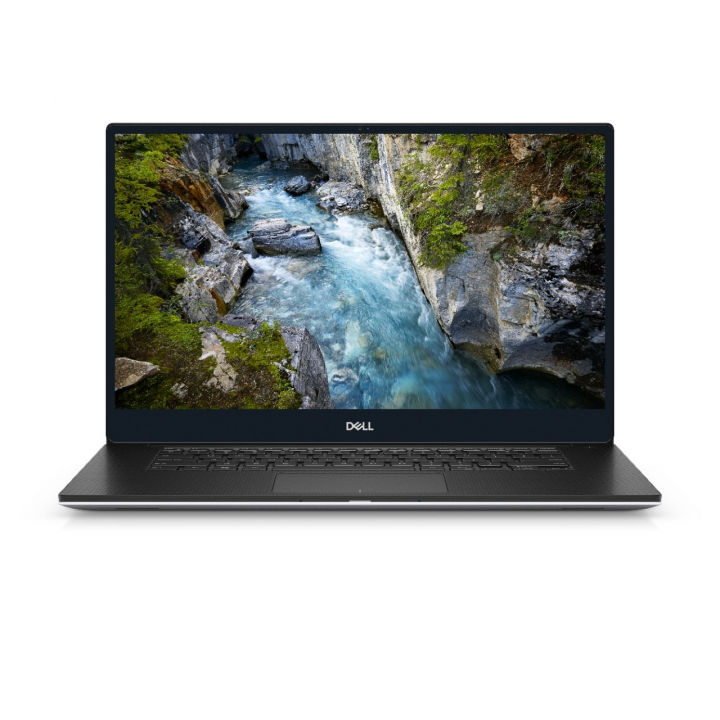 Mobilna stacja robocza Dell Precision 5540 platynowy - widok frontu