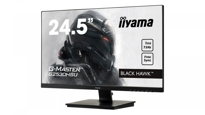 Monitor IIYAMA G-Master G2530HSU-B1 - widok frontu prawej strony