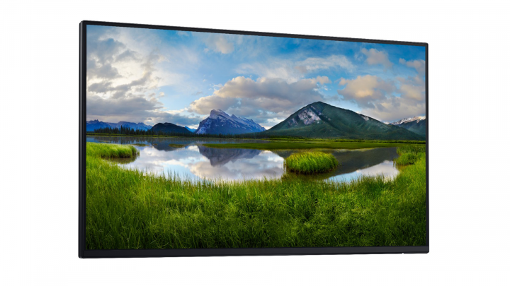 Monitor Dell 24 P2425HE bez podstawki 1