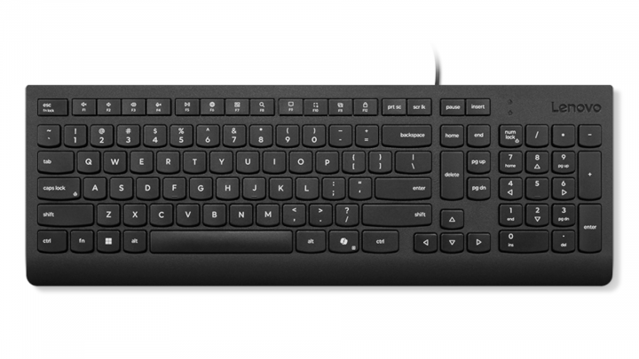 Klawiatura przewodowa Lenovo Essential AI U.S. English with Euro symbol 4Y41R64672