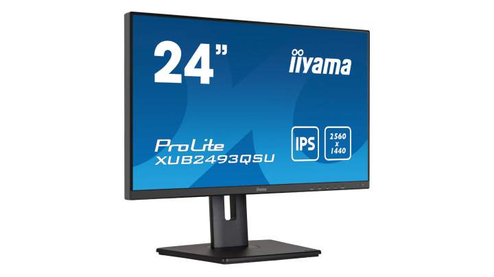 Monitor IIYAMA ProLite XUB2493QSU-B5 5