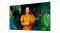 Monitor Samsung QH50C LH50QHCEBGCXEN 50" VA UHD 5