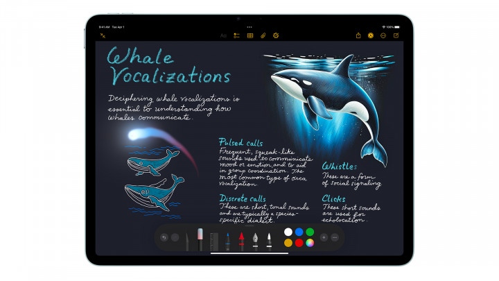 Apple iPad Air 13" M3 WiFi+Celullar 5