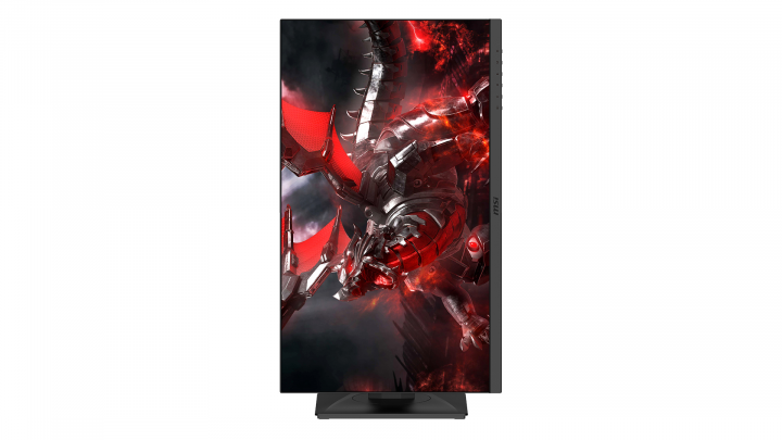 Monitor MSI Optix G251PF widok frontu2