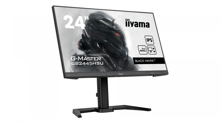 Monitor IIYAMA G-Master GB2445HSU-B1 4