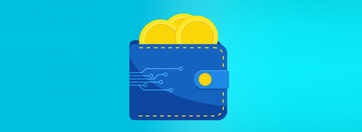 InsPunkty (wewnętrzny system płatności)