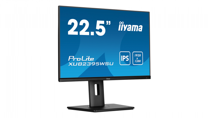 Monitor IIYAMA ProLite XUB2395WSU-B5 1