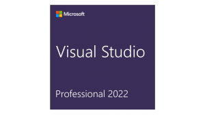 Visual Studio Professional 2022 - DG7GMGF0D3SJ:0003