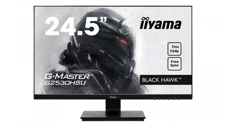 Monitor IIYAMA G-Master G2530HSU-B1 - widok frontu