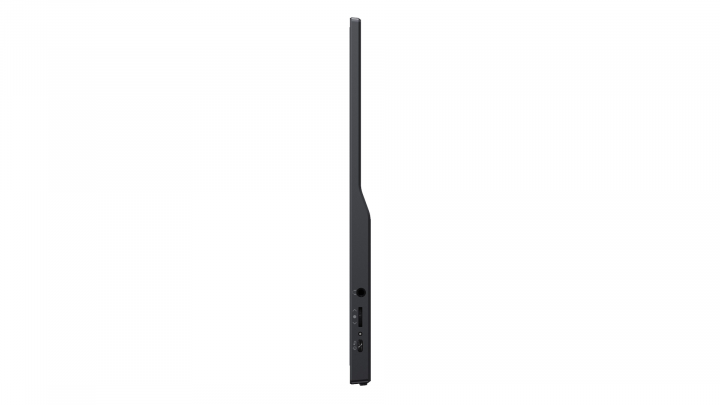 Monitor iiyama ProLite P1671HSC-B1 5