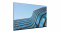 Monitor Lenovo ThinkVision E55 LFD 64A9GAT1EK 2