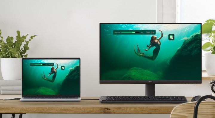 Monitor Dell 24 SE2425HM 210-BQZT połączenie