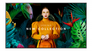 Monitor Samsung QH65C LH65QHCEBGCXEN 65" VA UHD