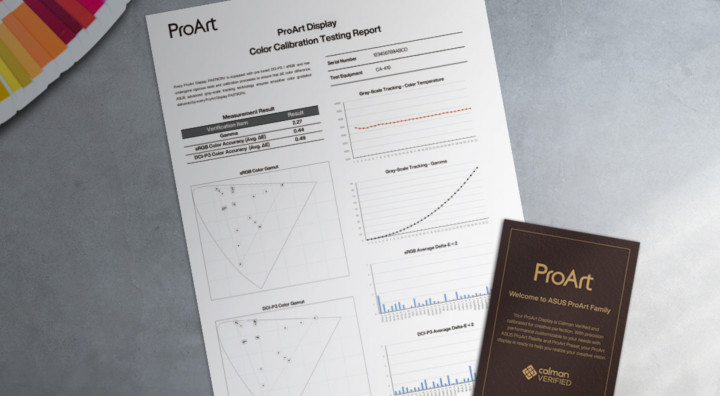 ASUS ProArt Display PA248CRV 3