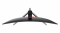 Optix AG321CQR