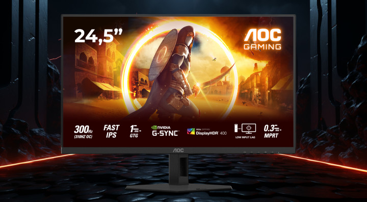 Monitor AOC 25G4SRE 24,5