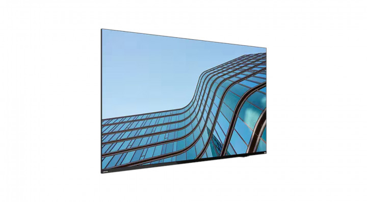 ThinkVision E55 LFD 3