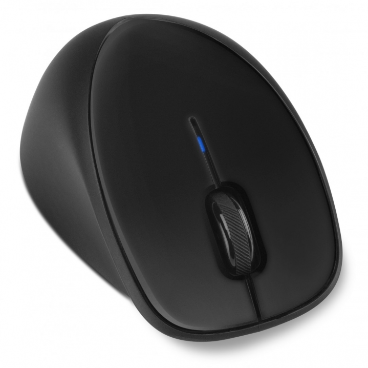 Mysz optyczna bezprzewodowa HP Comfort Grip H2L63AA - widok frontu v2