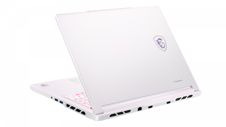 Laptop MSI Crosshair A16 HX MLG Edition E8W 10