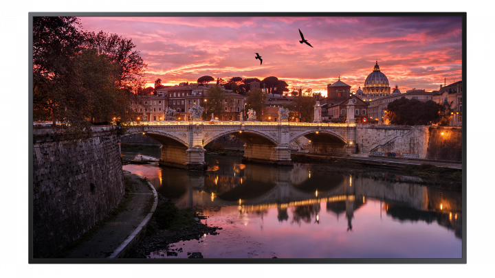 Monitor Samsung 55 QB55R-B LH55QBRBBGCXEN - widok frontu