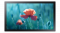 Monitor Samsung 13 QB13R-T LH13QBRTBGCXEN - widok frontu