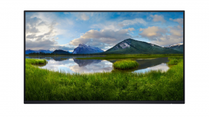Monitor Dell P2425H 210-BMTB 23,8" 