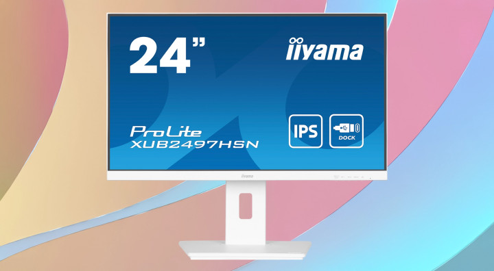 Monitor iiyama Prolite XUB2497HSN-W1