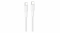 Kabel Belkin USB-C 240W BoostCharge Pro 3m biały - CAB025hq3MWH wejście