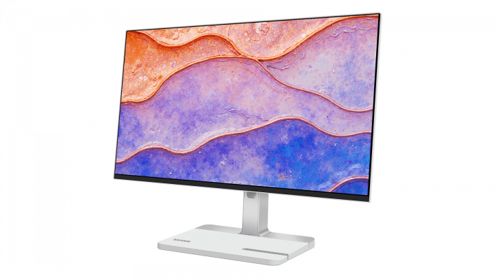 Monitor Lenovo Lenovo L24D-4C 67DCUAC6EU 2